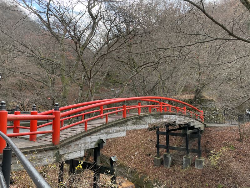 Kajika Bridge in Winter