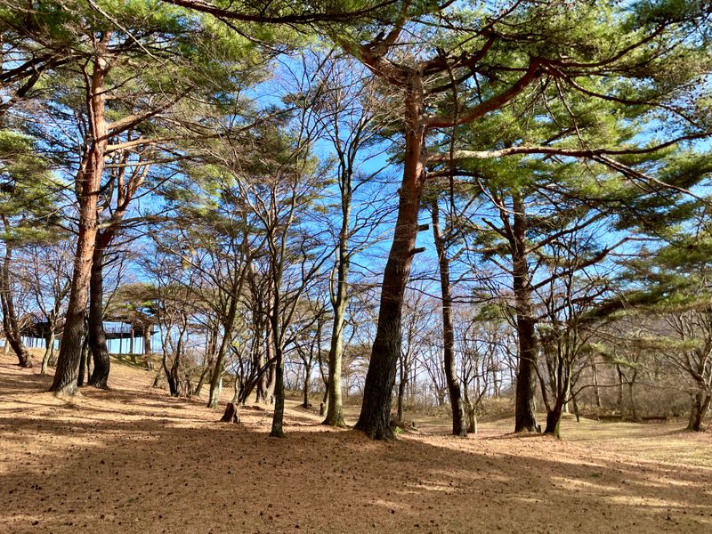 Park at the top of the mountain