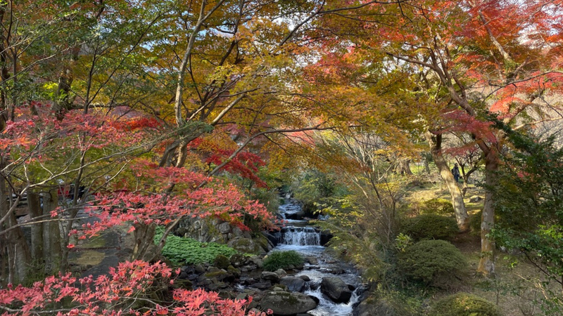 Atami Plum Garden