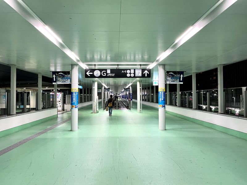 The dedicated walkway connecting Terminal 1 and 2