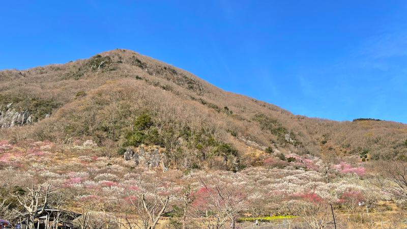 Yugawara onsen in Kanagawa