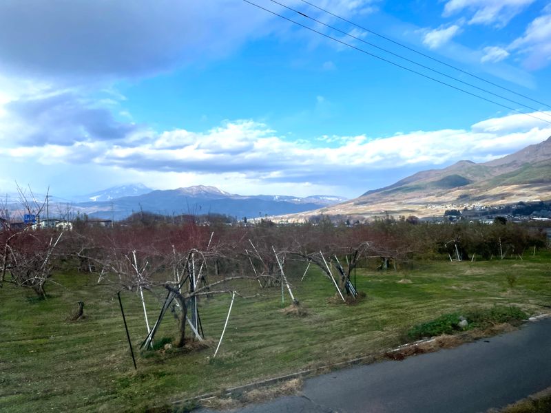 Outside view from the train